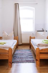 什未林Ferienwohnung an der Berliner Seenkette的配有窗户和地毯的客房内的两张床