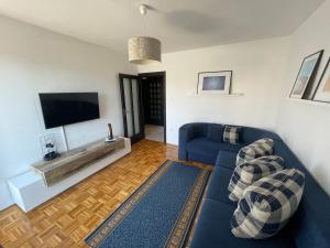 奥米沙利Apartment Melina的客厅配有蓝色的沙发和平面电视。