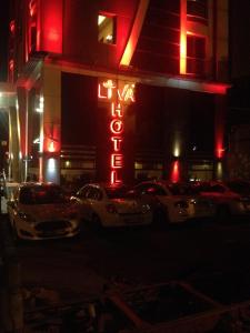 开塞利我的利华大酒店 的夜间在酒店门前停放两辆车