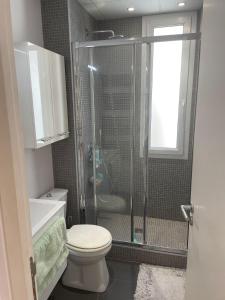尼斯Studio Magenta的一间带卫生间和玻璃淋浴间的浴室