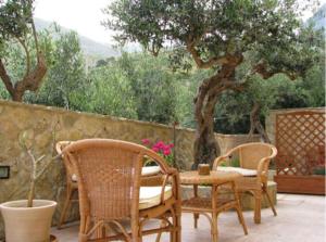 圣维托罗卡波Modus B&B的庭院设有两把椅子和一张桌子,还有一棵树