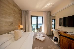 布德瓦亚历山大拉法鲁维奇酒店的酒店客房配有一张床、一张书桌和一台电视。