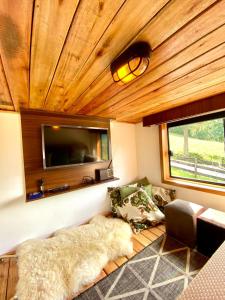 乌鲁比西Tiny House Urubici的带沙发和平面电视的客厅