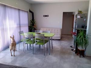 马拉圭Mi casa es tu casa!!的一只狗站在带桌椅的房间
