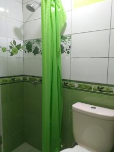 利马Chakana Family Home 2 Lima Airport的一间带绿色淋浴帘和卫生间的浴室