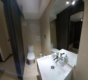 伊基克DEPARTAMENTO EDIFICIO AZUL I的一间带水槽、卫生间和镜子的浴室