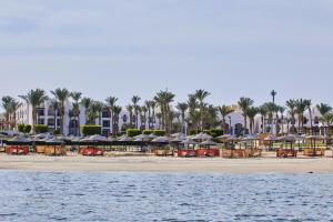 加利布港Pickalbatros The Palace Port Ghalib的海滩上有许多桌子和遮阳伞,棕榈树