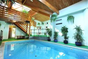 斯塔德兰Knoll House的一座种植了盆栽植物的建筑中的游泳池