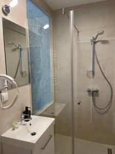 维也纳奥特丹旅馆的带淋浴、盥洗盆和镜子的浴室