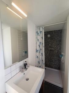 巴特利本采尔Ausblick Maisenbach, Talstraße的白色的浴室设有水槽和淋浴。