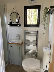 林利斯戈Peaceful Shepherd’s Hut in beautiful countryside.的一间带卫生间、水槽和镜子的浴室