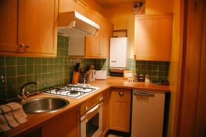 爱丁堡Edinburgh Backpackers的厨房配有水槽和炉灶 顶部烤箱