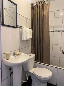 帕拉卡斯Hotel Munay的一间带卫生间和水槽的浴室