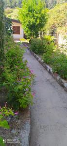 帕利努罗dgs palinuro的一条有粉红色花卉的车道
