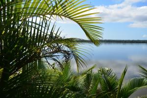 卡纳内亚Camping Mirante dos Golfinhos的棕榈树下的水体景观