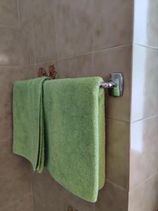 奥贝雷根Lärchenheim的两个绿色毛巾挂在淋浴的毛巾架上