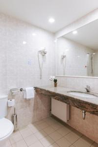 卡特兹奥布萨维温泉酒店 - 卡特兹温泉的一间带水槽、卫生间和镜子的浴室