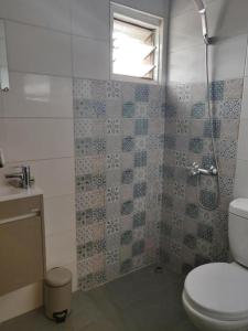 阿比让La Maison de Kouadio的一间带卫生间和淋浴及窗户的浴室