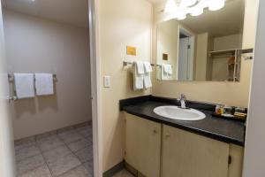 麦克默里堡麦克默里堡BCM汽车旅馆 - 市中心的一间带水槽和镜子的浴室