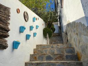 比利亚伦加德尔罗萨里奥Apartamento Rural Bella Vista的墙上挂着蓝色花盆的楼梯