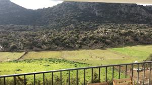 比利亚伦加德尔罗萨里奥Apartamento Rural Bella Vista的山中与动物交汇的田野景色