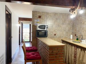 比利亚伦加德尔罗萨里奥Apartamento Rural Bella Vista的厨房配有带微波炉和炉灶的台面