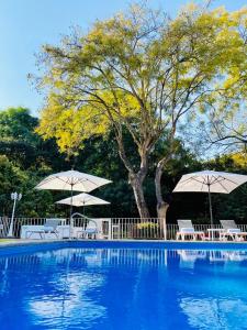 库埃纳瓦卡Hotel Cala Blanca Cuernavaca的一个带两把遮阳伞和椅子的游泳池