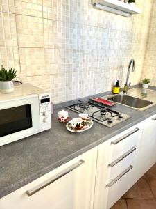 锡耶纳La Casina Verde的厨房柜台配有微波炉和水槽