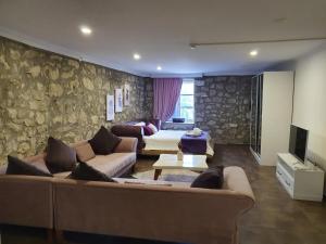 阿拉恰特Leyla Suite的带沙发和石墙的客厅