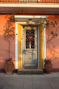 雷夫卡达镇Beautiful Traditional House in Lefkada的两瓶花房子的门