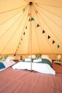 瓦伊河畔海伊Glamping at Hay Festival的相册照片