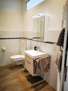 明斯特Ferienwohnung Marder的一间带水槽、卫生间和镜子的浴室