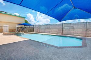 圣安东尼奥戴斯酒店 - 圣安东尼奥机场汽车旅馆的一个带蓝伞的游泳池,靠近围栏
