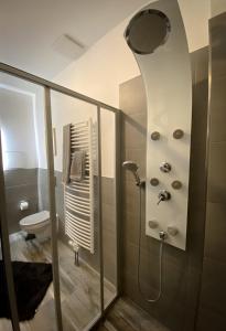 德累斯顿New Deluxe Studio Apartment in quiet back house的带淋浴和卫生间的浴室