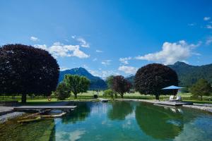 奥伯斯特多夫舒尔康体SPA度假酒店 - 仅限成年人的山地公园的池塘