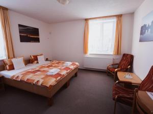 伏尔塔瓦河畔赫卢博卡百利金博卡莱克酒店的一间卧室配有一张床和一把椅子