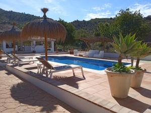 阿洛拉Finca Las Hierbas B&B的一个带椅子和遮阳伞的游泳池的度假酒店