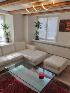 韦森Mornag AG Ferien Wohnung的带沙发和玻璃桌的客厅