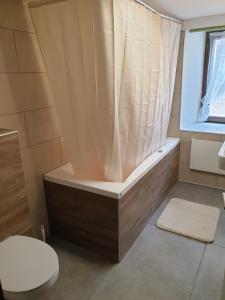韦森Mornag AG Ferien Wohnung的浴室配有带浴帘的浴缸