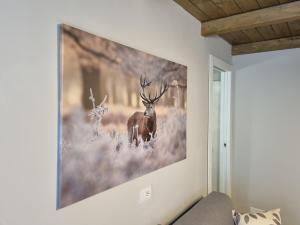 塞斯特雷Moda Apartments 01的墙上一幅大画,画着鹿