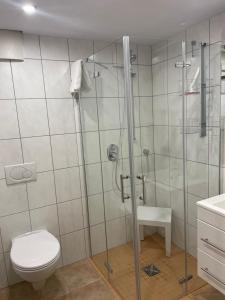 埃伦茨-波尔特斯多夫Ferienwohnung Probst的带淋浴、卫生间和盥洗盆的浴室