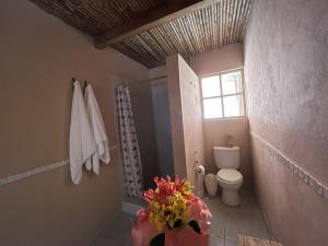 塔拉波托Casa Capirona 2 - Laguna Azul的一间带卫生间和窗户的浴室