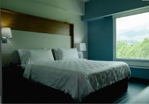 乌鲁阿潘乌鲁阿潘假日酒店的一间卧室设有一张大床和大窗户