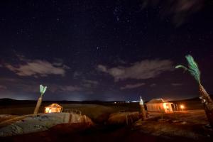 马拉喀什Agafay Pearl Camp Marrakech的享有沙漠的星空和棕榈树的夜景