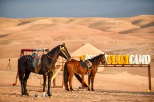 马拉喀什Agafay Pearl Camp Marrakech的两匹马站在沙漠的标志旁