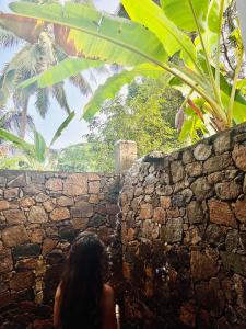 达瓦拉维Mango Tree House的坐在石墙旁的女人