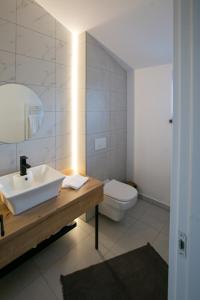 托普利察Cozy Rooms Toplita的一间带水槽和卫生间的浴室
