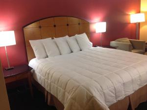 塞勒姆Baymont by Wyndham Salem Roanoke Area的一张大白床,位于酒店带两盏灯的房间