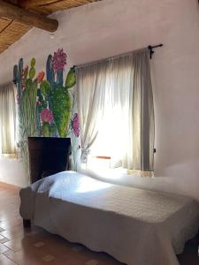 普尔马马尔卡Cactus y Almacen - Purmamarca的一间卧室设有一张床和一个大窗户
