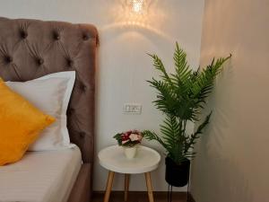 康斯坦察VILA MRV的一间卧室配有一张床和一张植物桌子